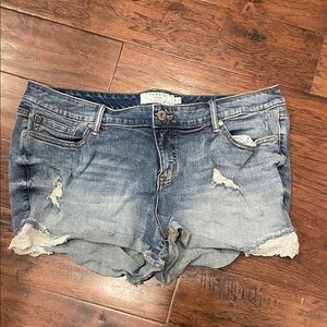 Torrid Distressed Blue Jean Shorts